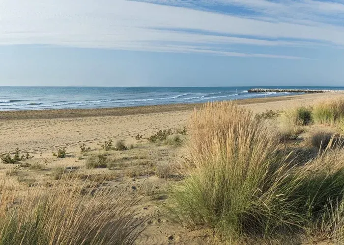 Spiaggia-di-Punta-Sabbioni-Affitti-a-Cavallino-Treporti